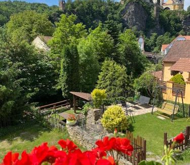 Vranov nad Dyji House | Pension Hamry