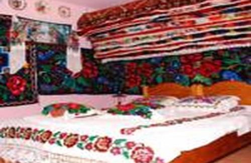 Vadu Izei House | Pension Ioana Lavita