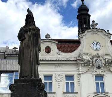 Beroun Apartment | Pension Kotva