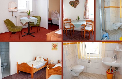 Mockrehna Apartment | . Pension Meyer's Gasthof - Double room with shower/WC in the room