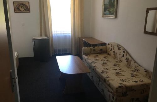 Svor House | Pension Milštejn