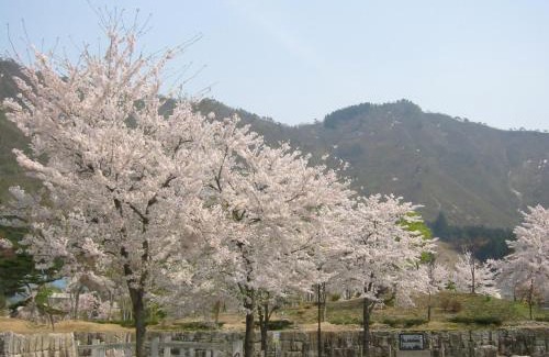 Yuzawa-machi Hotel | Pension Oz