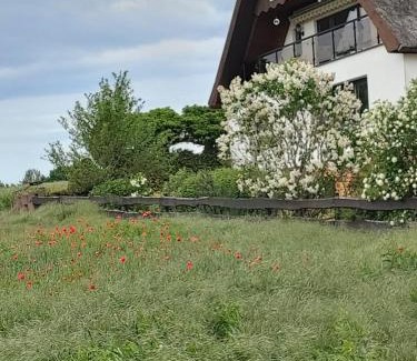 Lubkow House | Pension Petersen