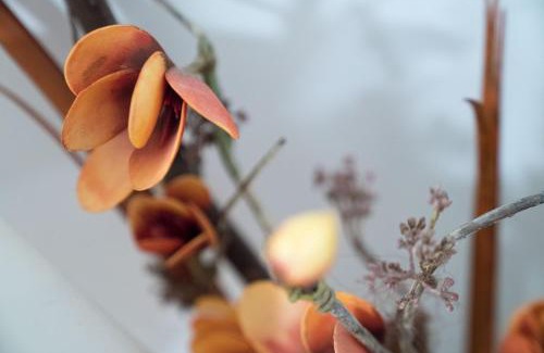 Bad Sauerbrunn House | Pension & Restaurant La Amalia