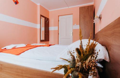 Borsec Bed & Breakfast | Pension Rose-Trandafirul