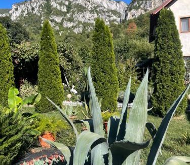 Baile Herculane House | Pension RouaDeMunte