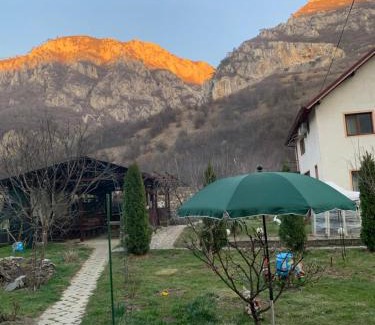 Baile Herculane House | Pension RouaDeMunte