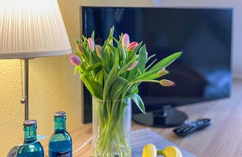 Sondershausen Hotel | Pension Schlossblick