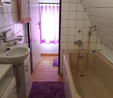 Jivka Apartment | Pension u Adršpachu - Dana Tyšerová