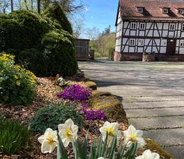 Burghaun House | Pension Untere Mühle