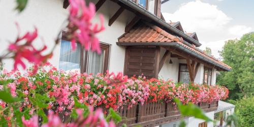 Wildenranna House | Pension Zum Ebenstein am Donausteig