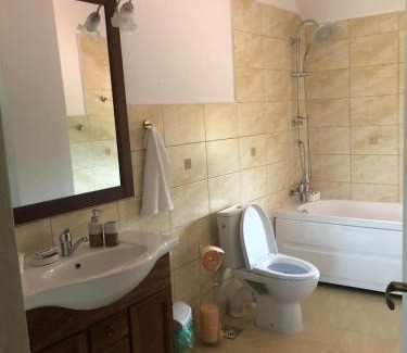 Bretea Romana House | Pensiune AGROTURISTICA COSTIANA