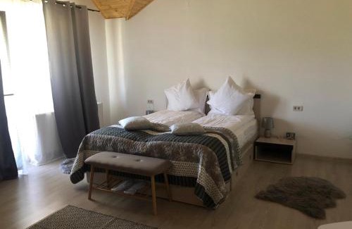 Bretea Romana House | Pensiune AGROTURISTICA COSTIANA