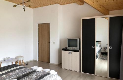 Bretea Romana House | Pensiune AGROTURISTICA COSTIANA