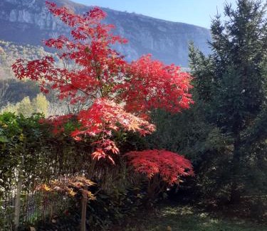 Baile Herculane House | Pensiune Safrane