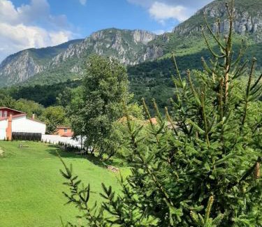 Baile Herculane House | Pensiune Safrane
