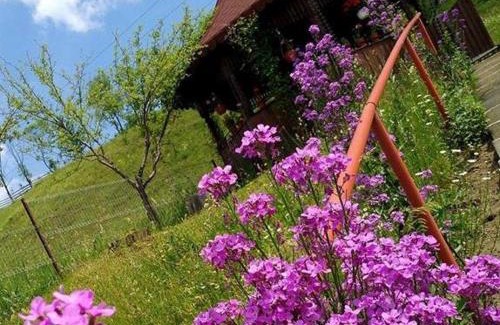 Moldovita House | Pensiunea Agroturistica Stefan Viorica