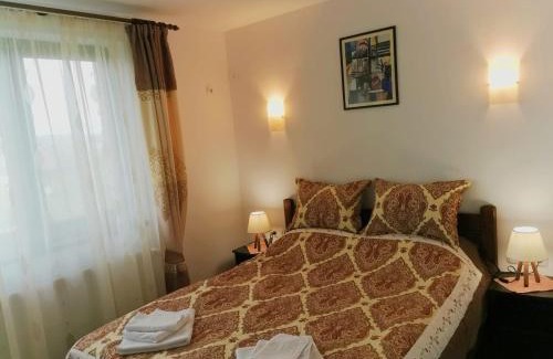 Sinnicoara House | Pensiunea Albina