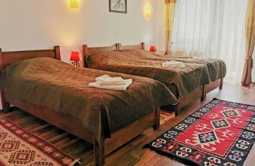 Sinnicoara House | Pensiunea Albina