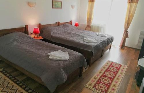 Sinnicoara House | Pensiunea Albina
