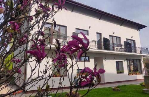 Pucioasa House | Pensiunea Alesia