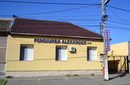 Arad House | Pensiunea Alexander