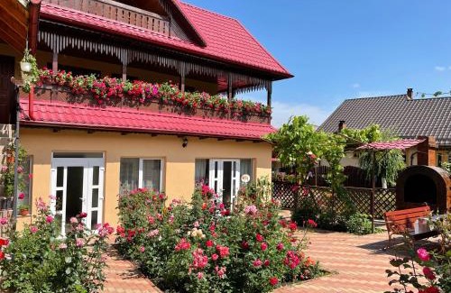 Agapia House | Pensiunea Alina