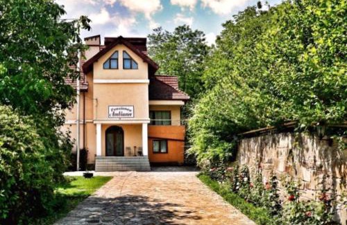 Viisoara House | Pensiunea Ambiance