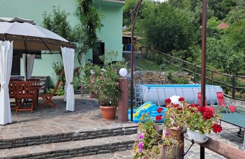 Cavnic House | Pensiunea Ana