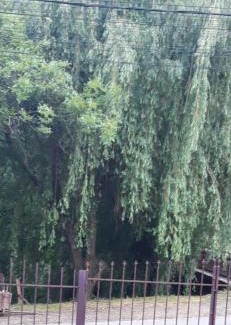 Sugag House | PENSIUNEA ANA Transalpina