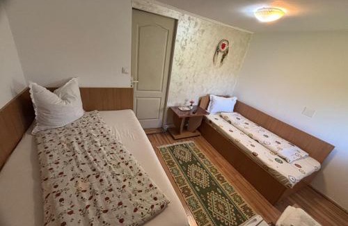 Sapinta House | Pensiunea Anca Sapanta-primeste carduri de vacanta