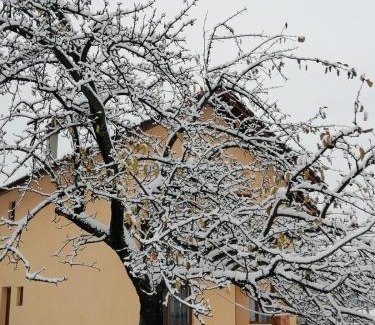 Crasna Villa | Pensiunea Aryana