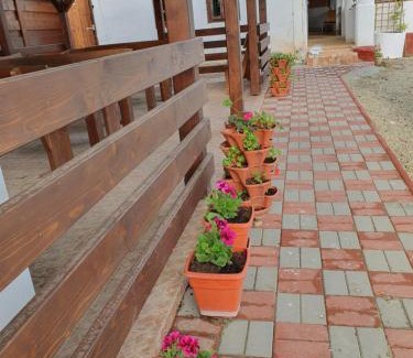 Siria House | Pensiunea Aurelia
