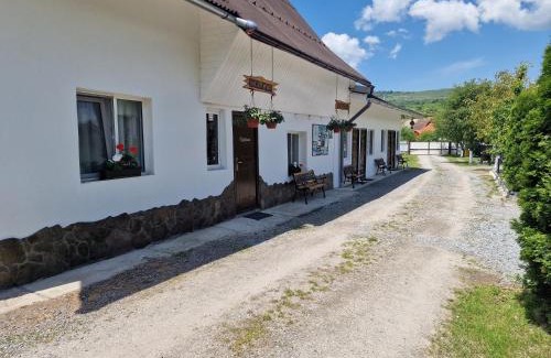 Sovata House | Pensiunea Beatrice
