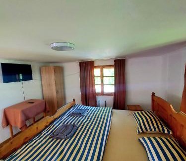 Gura Humorului House | PENSIUNEA BOCA VORONET