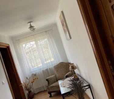 Vintila Voda House | Pensiunea Carmen