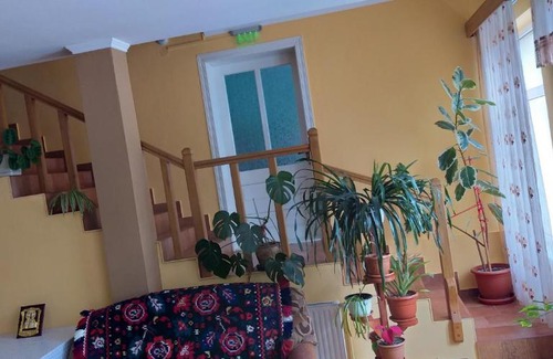 Sapinta House | Pensiunea Casa Șteț Toader Iulian
