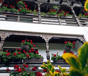 Birsana House | Pensiunea Casa Andreea - Bârsana Maramureș