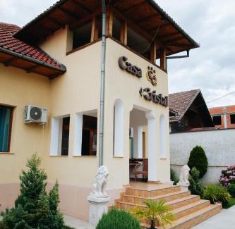 Tirgu Jiu House | Pensiunea Casa Cristal