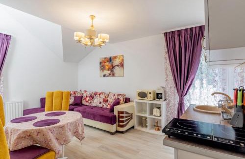 Slanic House | Pensiunea Casuta cu Trandafiri 2