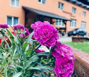 Gheorgheni House | Pensiunea Cerbul