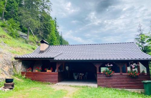 Gheorgheni House | Pensiunea Cerbul