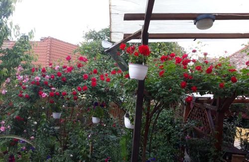 Sighisoara House | Pensiunea Cristina si Pavel