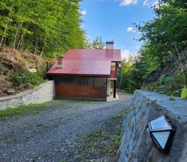 Lunca Jaristei House | Pensiunea Dana-Maria
