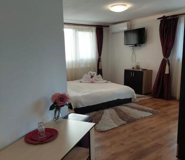 Certeju de Sus House | Pensiunea Doina