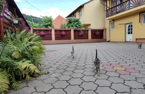 Praid House | PENSIUNEA DORINA
