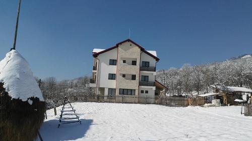 Oestii Paminteni House | Pensiunea Drumul Voievozilor