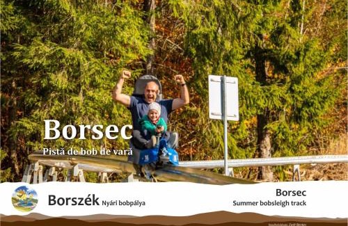 Borsec Hotel | Pensiunea Favorit Ferice