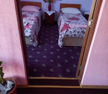 Bucsoaia House | Pensiunea Floare de Bucovina