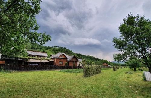 Ieud House | Pensiunea Ilea